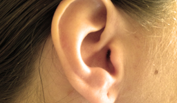 Интересные факты о человеческом ухе и слухе